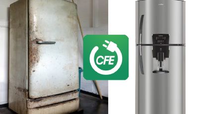 CFE: así tu recibo indica si califica para apoyo en compra de refrigerador nuevo