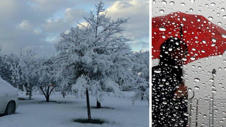 Clima en Nuevo Laredo: ¿bajará la temperatura?, así afectará el Frente Frío 39