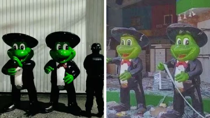 Hallan ranas robadas del Señor Frog's de Acapulco; ¿quién las tenía y en dónde estaban?