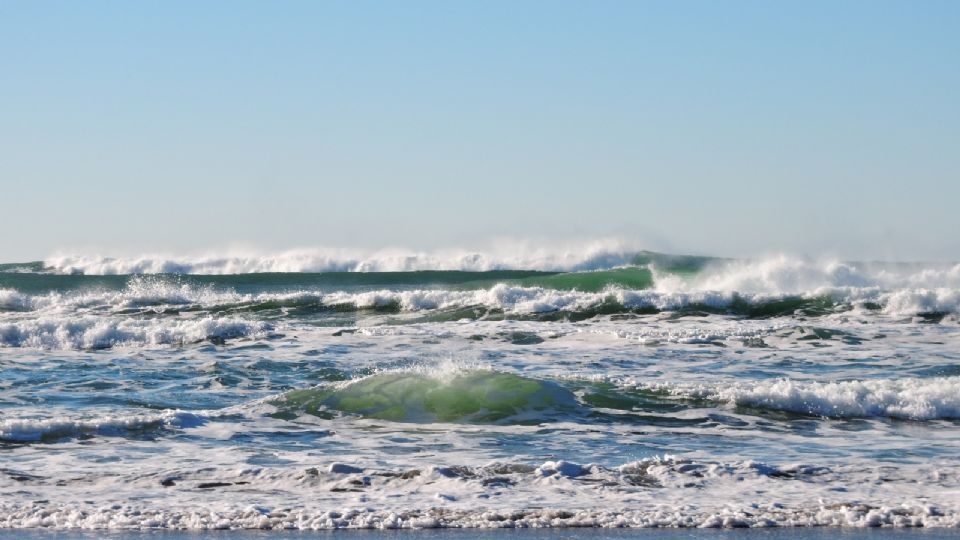 Reportan niveles altos de bacterias fecales en algunas playas de Texas