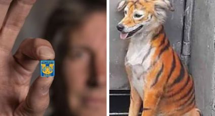 Estallan las redes con memes tras la eliminación de Tigres en la ‘Conca’