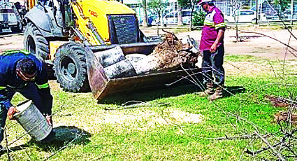 Estos son los daños que causó el ventarrón en Nuevo Laredo