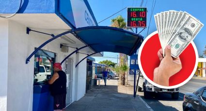 ¿Cómo hacer que te paguen más por tus pesos al cambiar por dólares en un centro cambiario?