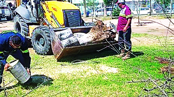 Estos son los daños que causó el ventarrón en Nuevo Laredo
