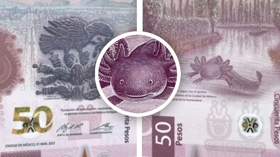 Al apreciado billete del ajolote