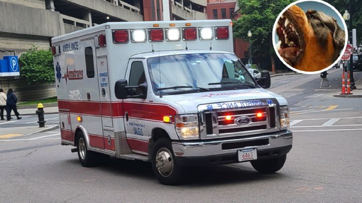 Bebé de un año pierde la vida tras ser atacado por perros en una casa en Texas