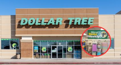 Dollar Tree: los artículos que nunca debes de comprar; no arriesgues tu dinero