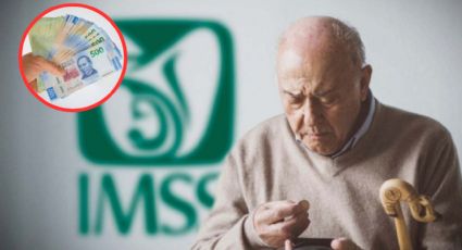 IMSS 2024: ¿Qué día inician los pagos de mayo y por qué se retrasan?