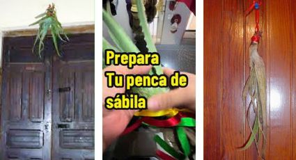 Sábila con listones rojos detrás de las puertas: esta es la razón de esta mítica tradición