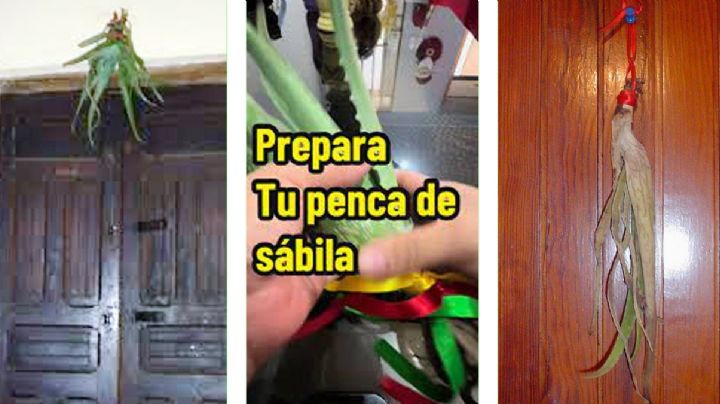 Sábila con listones rojos detrás de las puertas: esta es la razón de esta mítica tradición