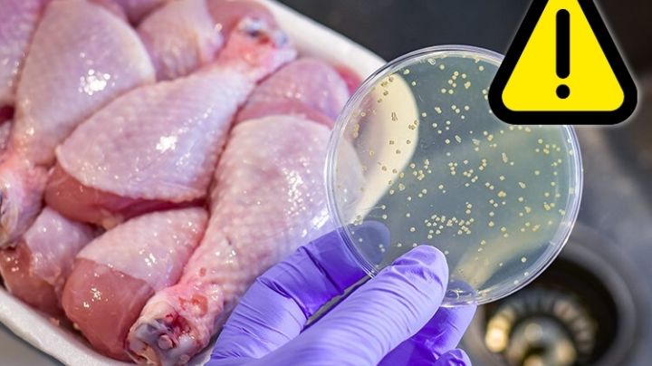 Síndrome de Guillain-Barré: así puedes identificar si el pollo comprado está en mal estado