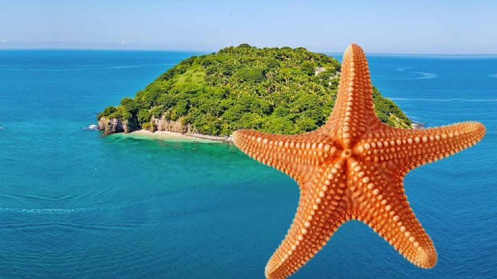 Paraíso escondido en México rodeado de sol, mar y arena blanca