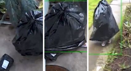 Ratero se pone creativo: se disfraza de bolsa de basura para robar paquete en una casa | VIDEO