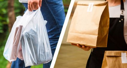 ¿Qué es más ecológico, una bolsa de plástico o una de papel? ¡Te sorprenderás!