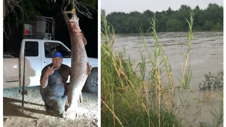Capturan catán 'monstruo' de casi dos metros en el río Bravo | VIDEO
