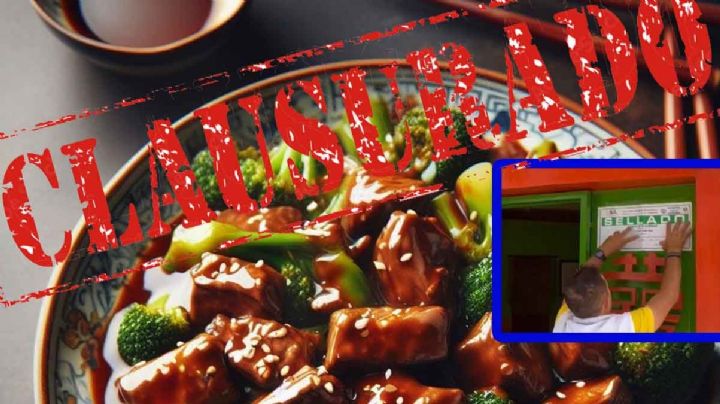 Clausuran restaurante de comida china; vendían platillos con carne de perro, gato y roedores