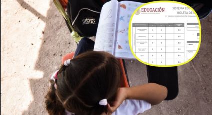 ¿Cuándo sube la SEP las calificaciones finales del ciclo escolar 2023-2024?