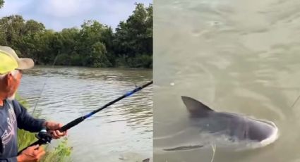 Tiburón Toro: 'monstruo' que asusta a pescadores en río de Texas 