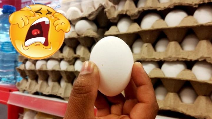 ¡Aguas con el huevo! Aumentará hasta este precio durante mayo