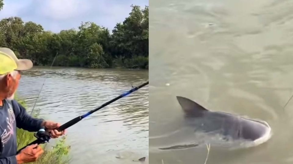 Avistamiento en río de Texas