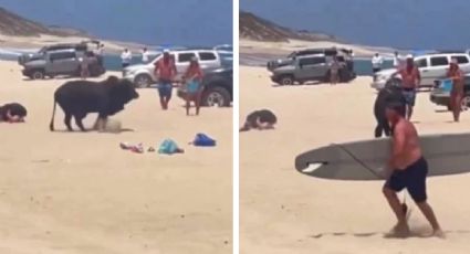 Toro embiste a mujer en playa de Los Cabos I VIDEO