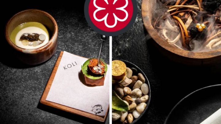 Estos restaurantes en Nuevo León ya tienen Estrella Michelin; ¿cuáles son?