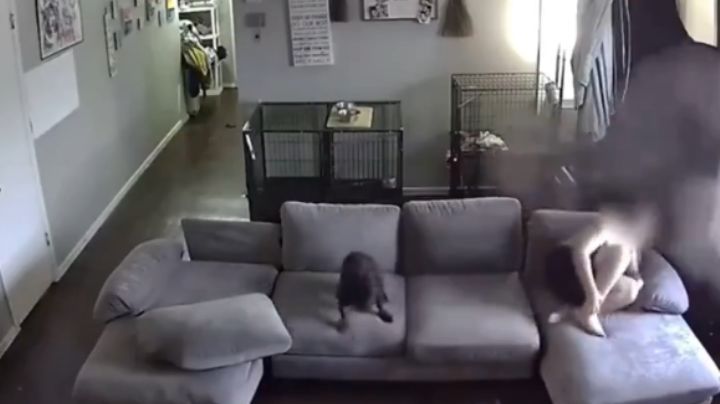 Pequeño de nueve años esquiva una docena de balas | VIDEO