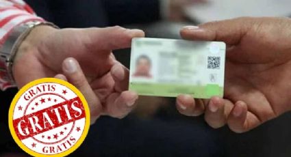 Licencia de conducir permanente 2024: no pagues nada si cumples con estos requisitos