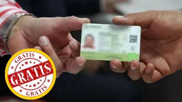 Licencia de conducir permanente 2024: no pagues nada si cumples con estos requisitos