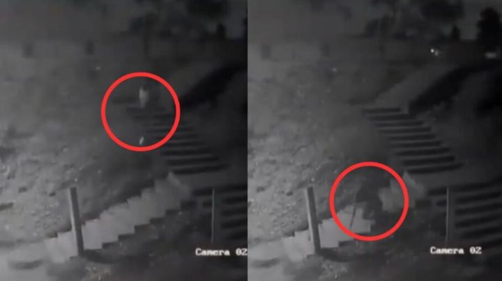 Mujer se avienta de puente vial para evitar ser raptada | VIDEO