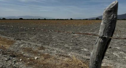 Cancelan temporalmente permisos de uso agrícola del agua en Tamaulipas