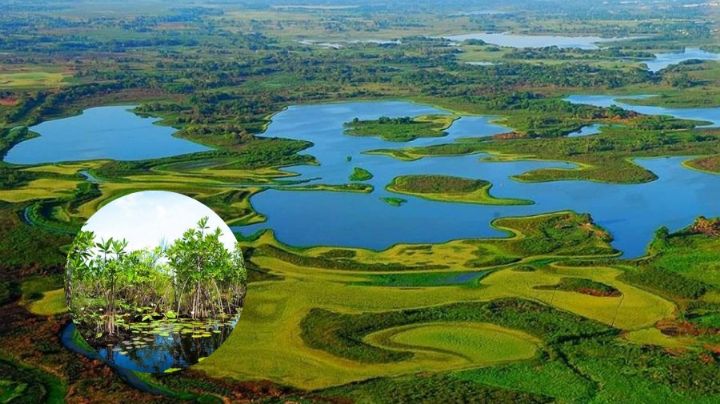 Esta ciudad en México presume los pantanos más bellos; son reconocidos mundialmente