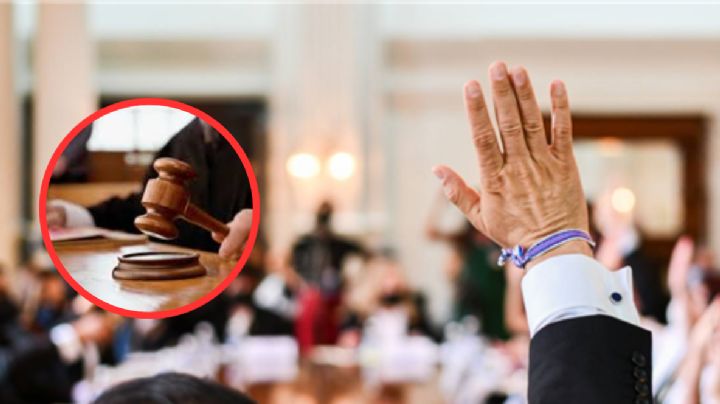 Cabildo de Laredo aprueba la eliminación del Departamento de Control Animal