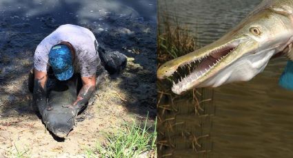 Catán del río Bravo: ¿cuál es la mejor temporada para atrapar al pez gigante?