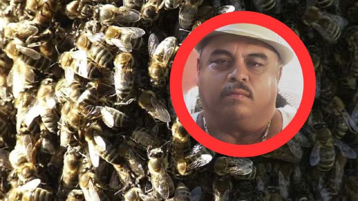 Abuelito hispano sufre dramática muerte por ataque de enjambre de 300 abejas; salva a niño