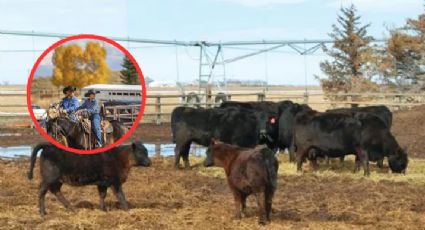 Muere ganadero y 34 vacas luego de ser alcanzados por un rayo