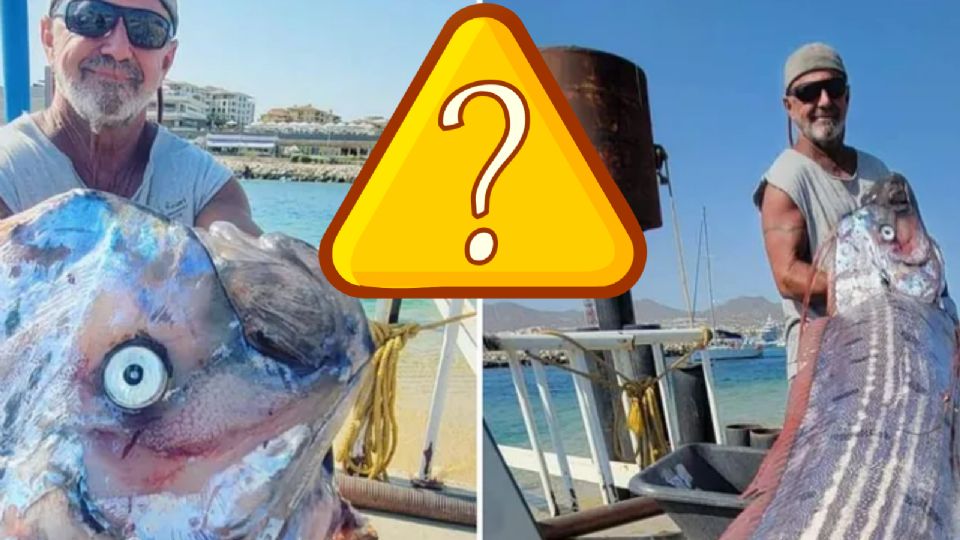 Encuentran pez remo en esta playa de México; ¿habrá algún desastre natural?