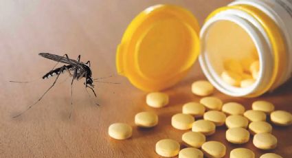 Consume esta vitamina y olvídate de las picaduras de mosquitos