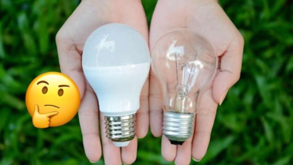 Focos LED vs. focos ahorradores: la batalla eléctrica en nuestro hogar