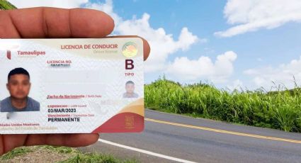 Licencia de conducir permanente: ¿Puedo tramitarla en otro estado, aunque no viva ahí?