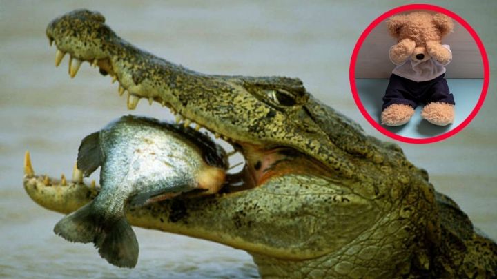 Madre lanza a su hijo discapacitado a río lleno de cocodrilos; peleó con su esposo por el cuidado