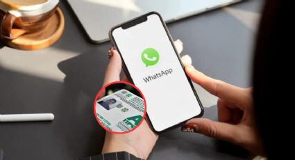 ¿Cómo y dónde renovar la licencia de conducir por WhatsApp en mayo del 2024?