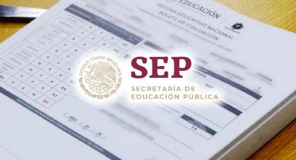 SEP: consulta la boleta de calificaciones 2024 desde el celular fácil y rápido