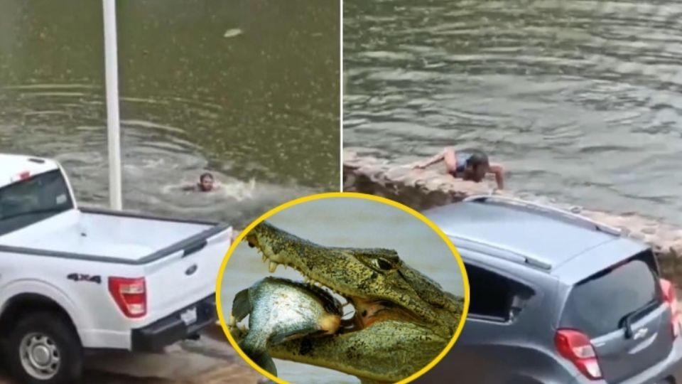 De milagro el hombre sobrevivió a un posible ataque de estas bestias, quienes lo hubieran despedazado en el cuerpo de agua