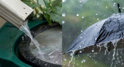 10 usos del agua de lluvia: así se puede aprovechar en el hogar