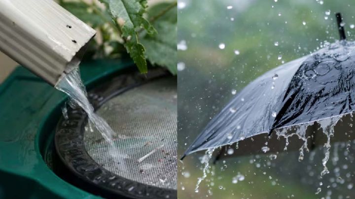 10 usos del agua de lluvia: así se puede aprovechar en el hogar
