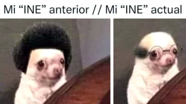 Elecciones 2024: Los mejores memes de la jornada electoral en México