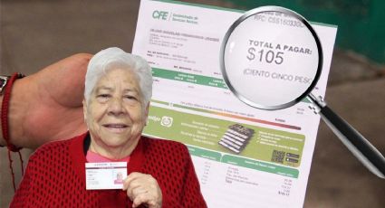 INAPAM y CFE: ¿hay descuento para adultos mayores en su recibo de luz?; esto se sabe   