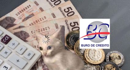 Buró de Crédito cambió, ¿beneficia o perjudica historial?