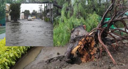 Reportan importantes lluvias en el Estado de México